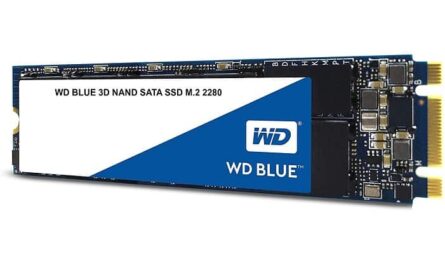 Western Digital SSD M.2 SATA de 250GB