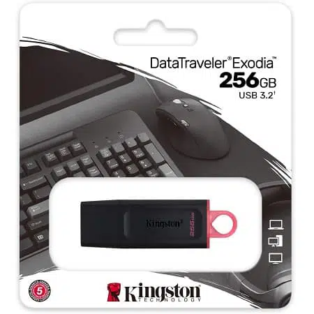 Kingston DataTraveler USB 3.2 Gen 1 256GB
