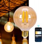 Aigostar Lâmpada LED inteligente vintage, G95 Âmbar tipo globo, 6 W, 806 LM, regulável quente a frio