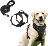 Arnês refletor para cão, Dog Harness + trela resistente, macio, respirável e ajustável
