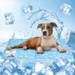 Tapete refrescante para cães 65*50 cm por 4,67€ e 90*50cm 6,09€