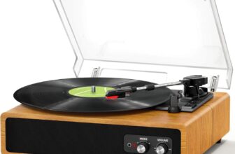 Gira discos de vinil Bluetooth portátil