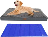 Cama Ortopédica para Cães