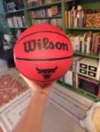 Wilson NBA Basketball Team