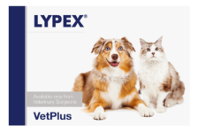 Lypex 60 cápsulas