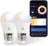 Smart Pack de 2 lâmpada LED inteligente com Wi-Fi esférica, 5,5W
