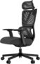 ProtoArc EC100 – Cadeira de escritório ergonómica