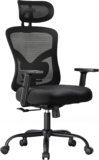 Cadeira de escritório ergonómica com suporte lombar, apoio de cabeça 2D