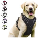 Arnês para cães sem puxões com clip frontal (S, M, L e XL)