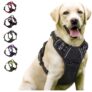 Arnês para cães sem puxões com clip frontal (S, M, L e XL)